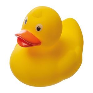 Squeeze duck 
