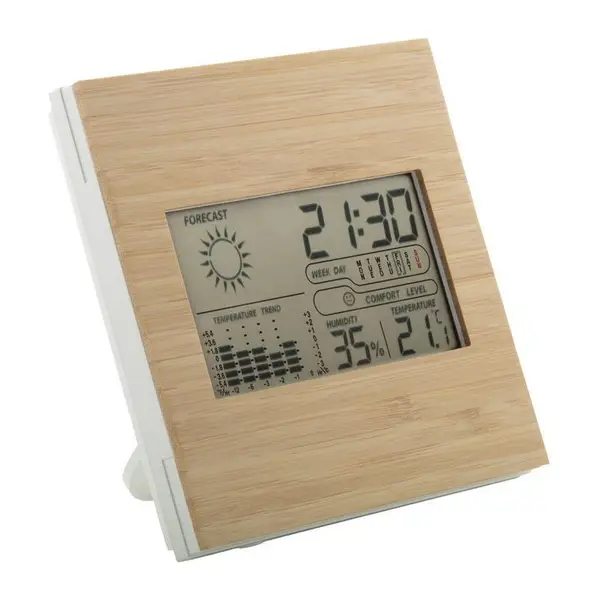 bamboo weather station